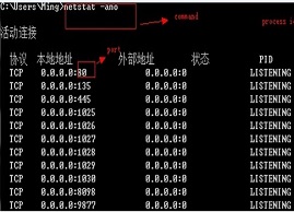 要如何解决电脑出现服务器8080端口无法访问的问题？