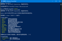 winget工具安装使用方法